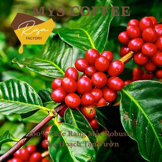 Caferangmocrobusta Cà Phê Nguyên Chất 100% Rang Mộc Pha Phin Dạng Bột Robusta Bảo Lộc 3Kg Mys Cafe