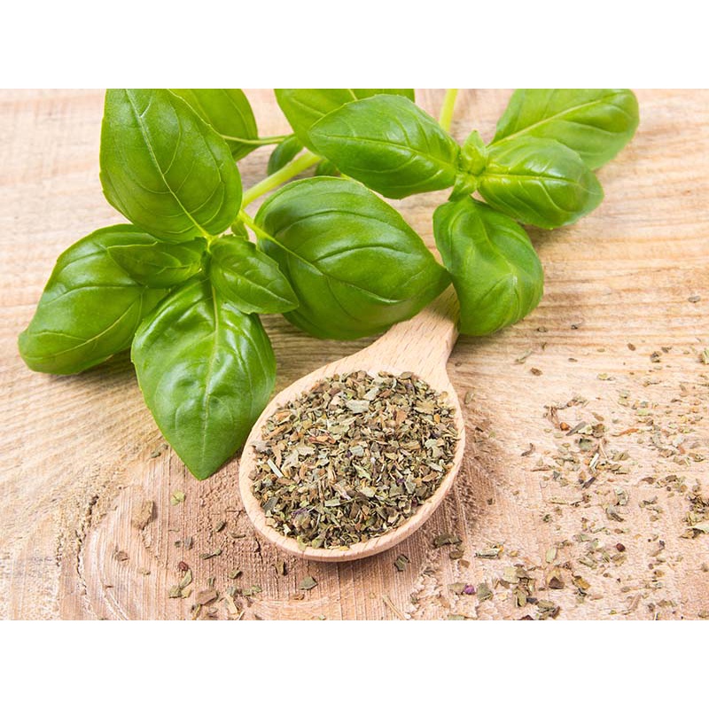 Lá húng quế (Basil) AB - 15G - gia vị tẩm ướp và chế biến các món ăn - Foodland