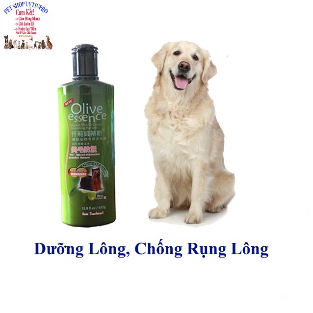 Sữa tắm Chó Mèo Pet Thú Cưng Olive essence Loại 2 Chai 450g Giúp mượt lông, Diệt ve, rận, bọ chét, Hương thơm dịu nhẹ