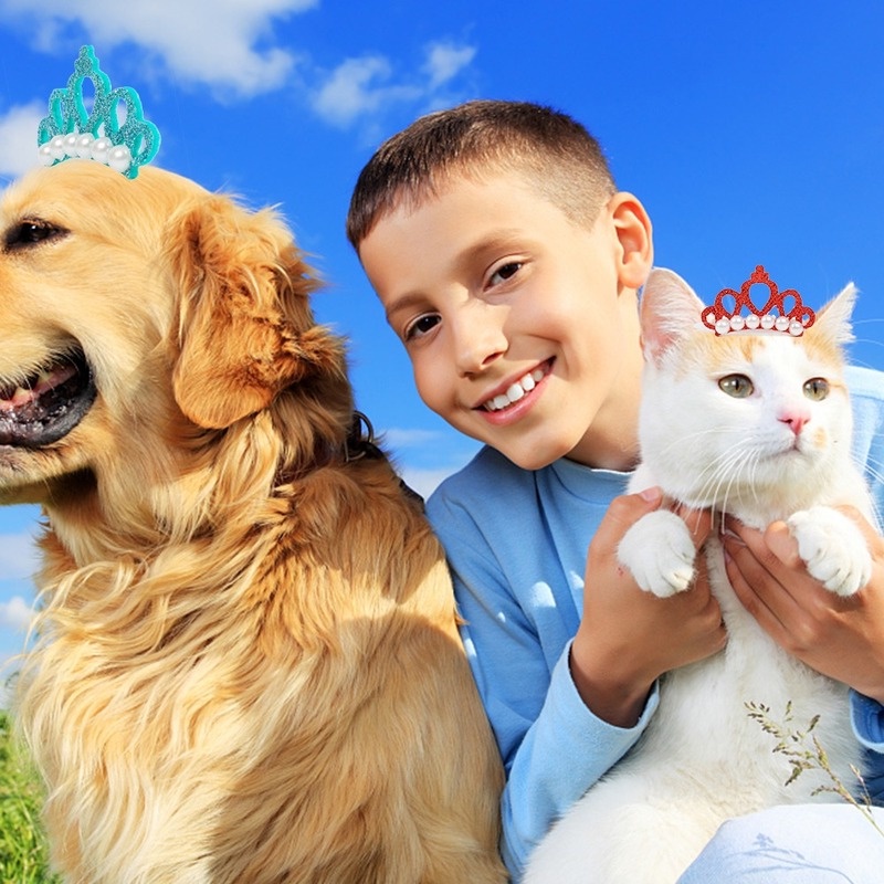 Kẹp Tóc Hình Vương Miện Đính Ngọc Trai Dễ Thương Cho Thú Cưng