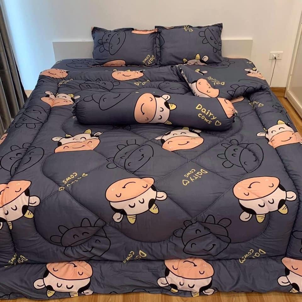 🌲set 4 món🌲Bộ Chăn phao ga gối dành cho đệm 1m6x2m,có chọn mẫu-MẪU BÒ XÁM