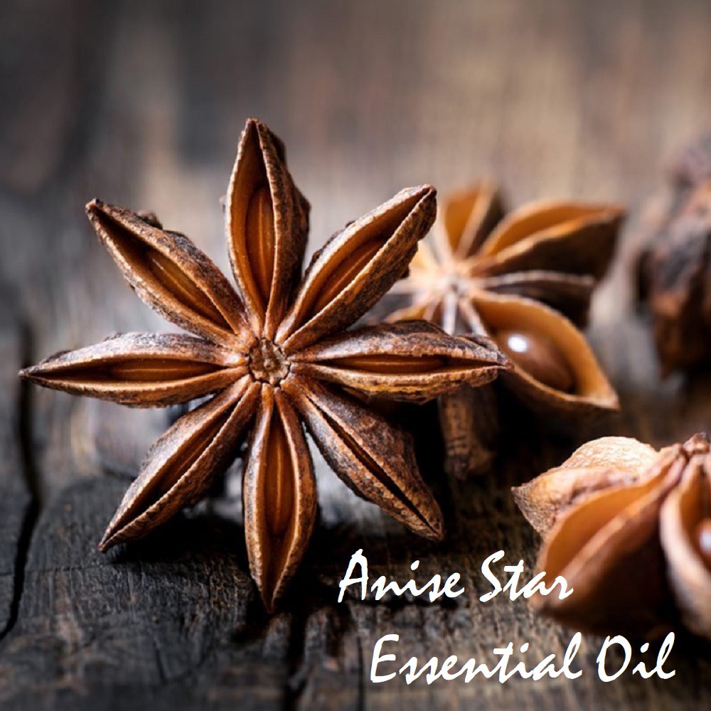 Tinh dầu Hồi Anise Star Essential Oil (Đại Hồi)