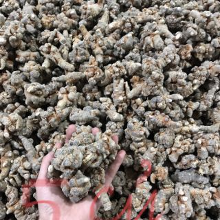 Tam thất bắc củ 500g