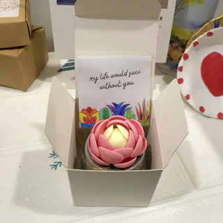 Sen đá dù hồng, sen đá đất sét, sen đá handmade