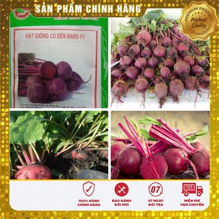 Hạt Giống Củ Dền Đỏ(2gr)