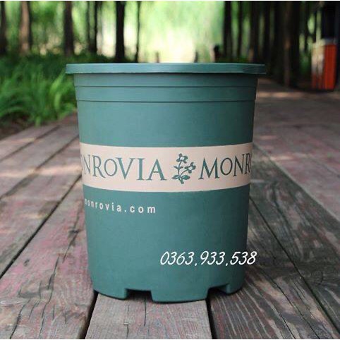 Chậu Monrovia 5GL giá sale