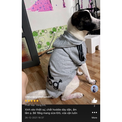 Đồ Cho Chó, Áo Cho Chó Lớn, có từ size xs-6xl, A20