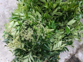 1KG ƯNG BẤT BẠC
