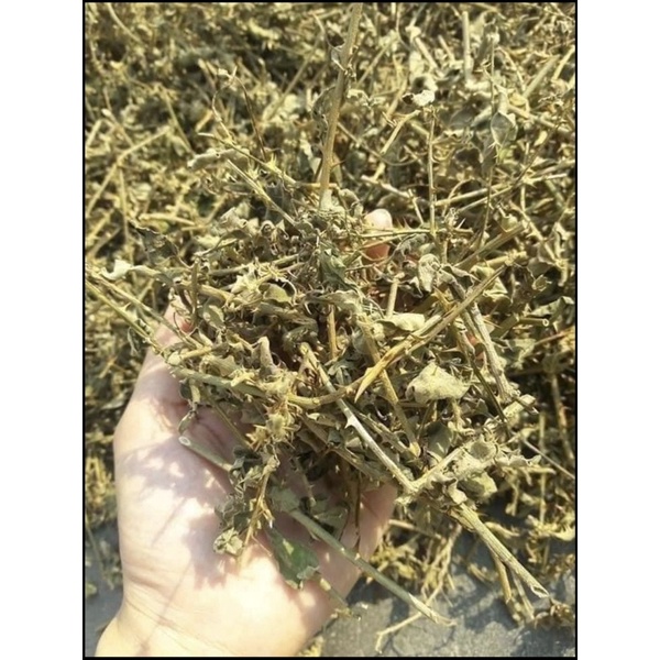 DÂY CÀ GAI LEO PHƠI KHÔ 1KG