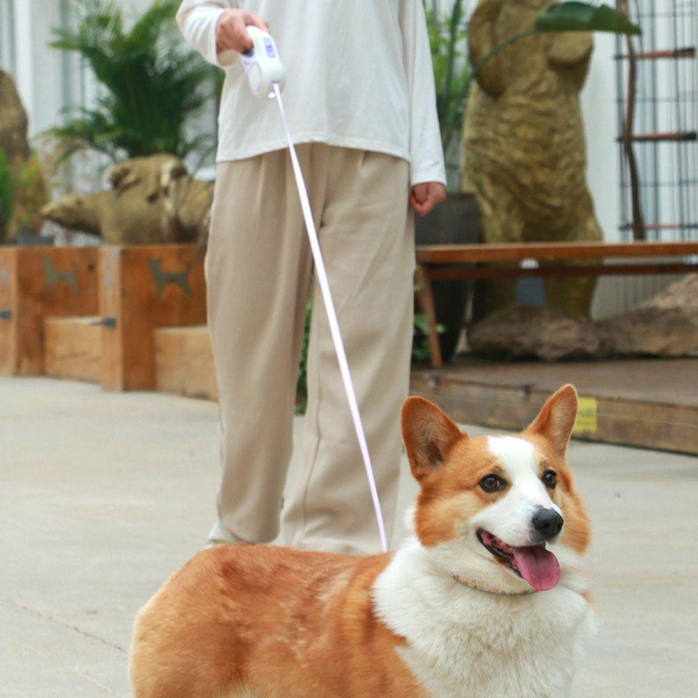 Dây Dắt Thú Cưng Đi Dạo Có Đèn Led Phát Sáng Thời Trang