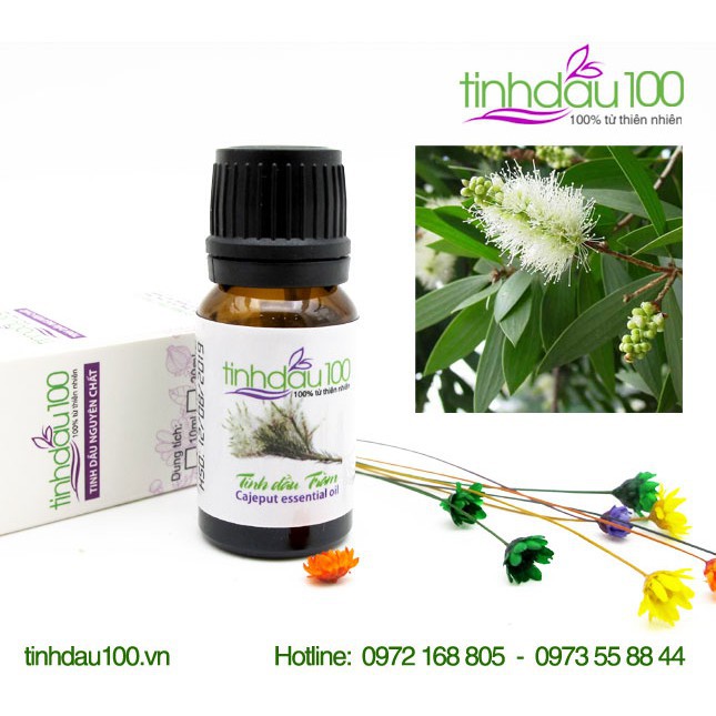 Tinh dầu tràm - Nguyên chất 100%