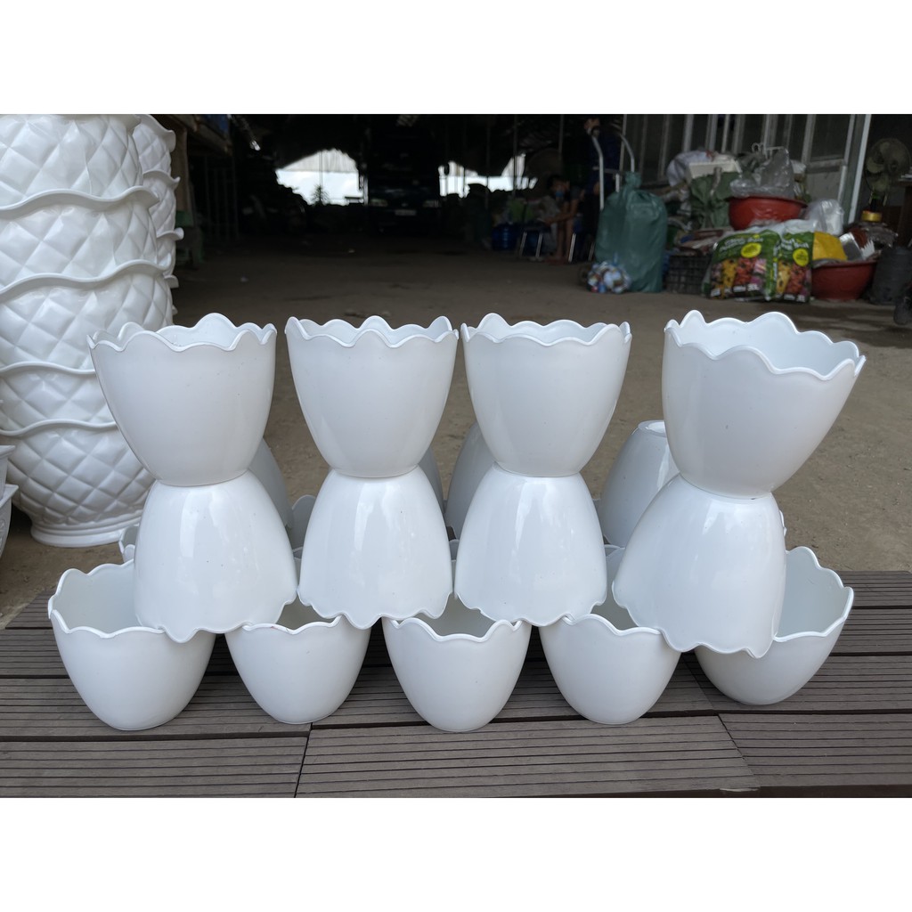 Chậu trứng trồng cây decor
