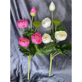 Bụi hoa sen giả cao cấp