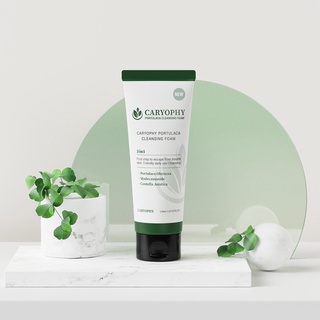 Sữa Rửa Mặt Caryophy Portulaca Cleansing Foam