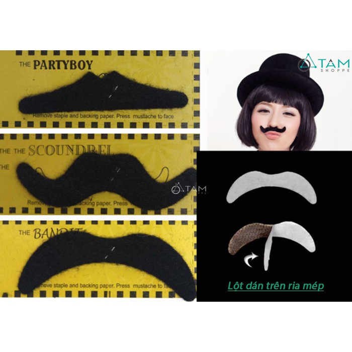 Bộ 6 ria mép giả TAN