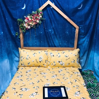 set ga gối ảnh thật minhminh decor