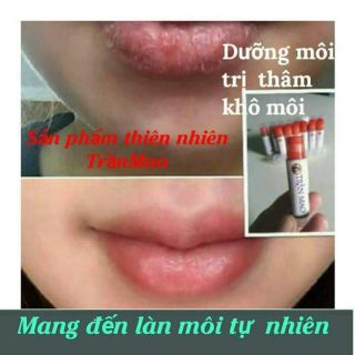 SON DƯỠNG GẤC TRẦN MAO