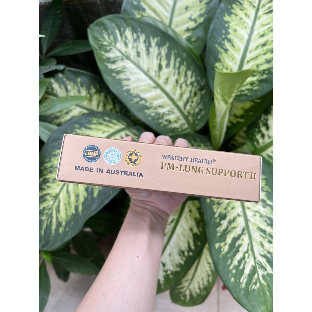 Viên uống bổ Phổi Wealthy Health PM Lung Support 60 viên của Úc