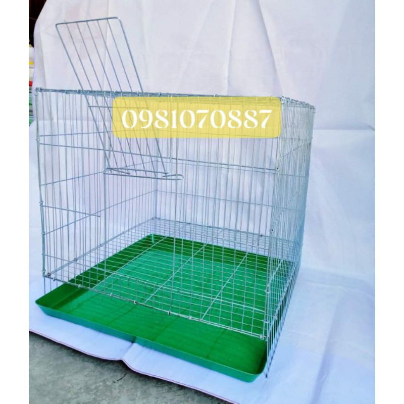 Lồng mèo tặng khay hứng phân