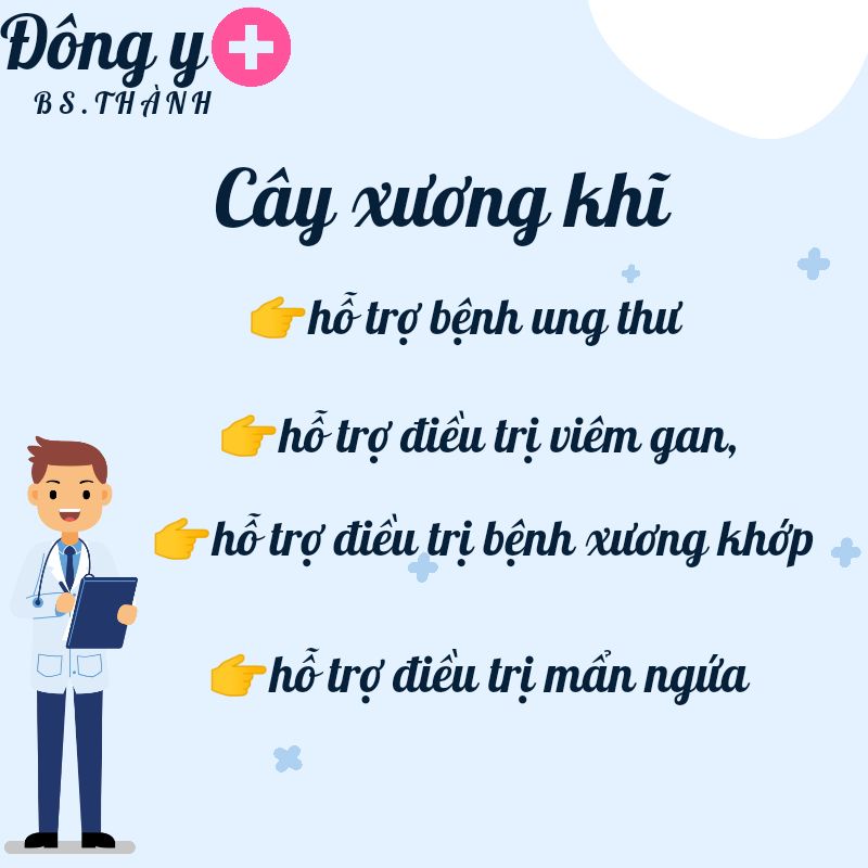 ☑️ CÂY XƯƠNG KHĨ cây bìm bịp cây thuố.c nam ngâm rượu nấu nước hỗ trợ bệnh cơ xương khớp 1Kg