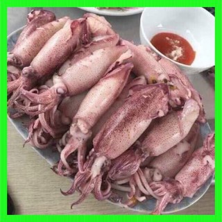 [ship siêu tốc HCM] MỰC HẤP THUYỀN 500gr