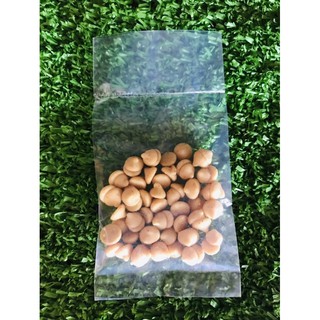 💪💪Buffet 3k ăn thử cho hamster