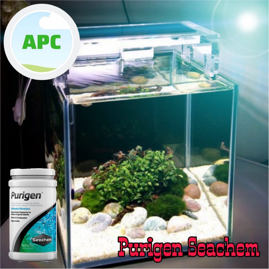 Vật Liệu Lọc Xử Lý Nước Cao Cấp Seachem Purigen