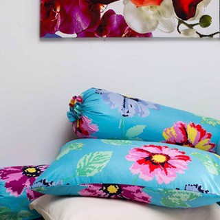 Chăn (mền) Lotus Midas Isabel MI-40A