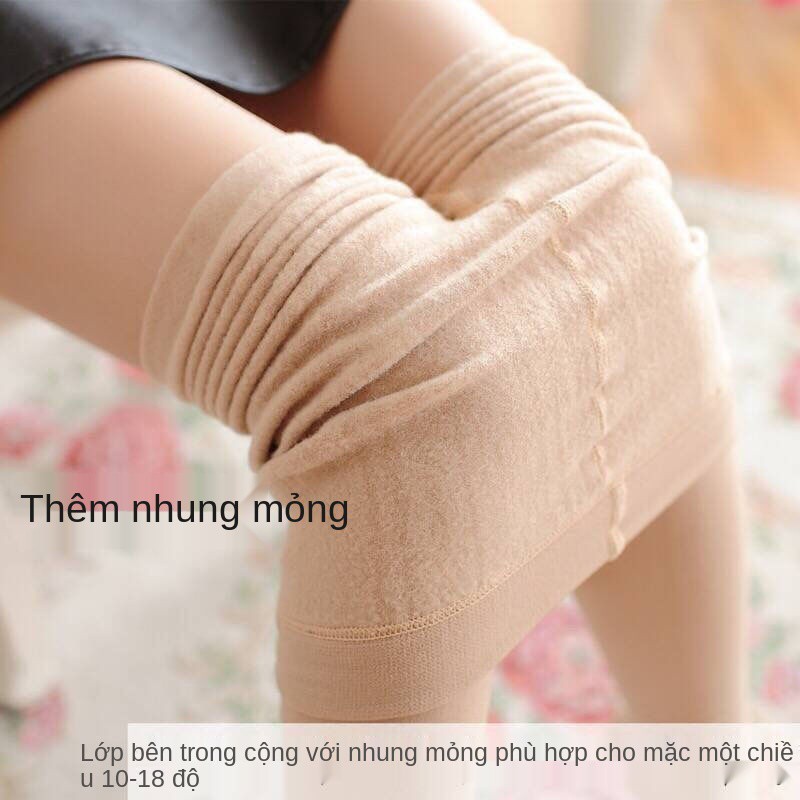 Quần tất chín 2 múi, dày vừa cho mùa xuân và thu của phụ nữ, legging, áo ngoài kiểu mỏng chống vướng víu