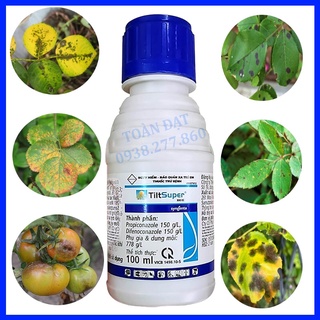 Thuốc Trừ Bệnh Tilt Super 300ec, ngừa vàng lá, rỉ sắt, nấm hồng, thấm sâu và lưu dẫn mạnh