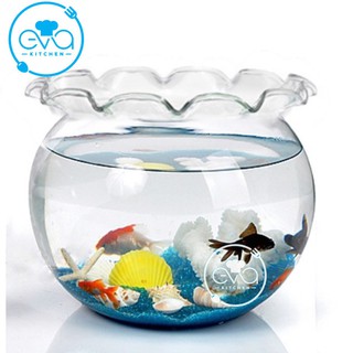 Hồ Cá Bể Cá Thuỷ Tinh Miệng Bèo B12 24 x 27 Cm Tặng Kèm Sỏi Và Rong Trang Trí