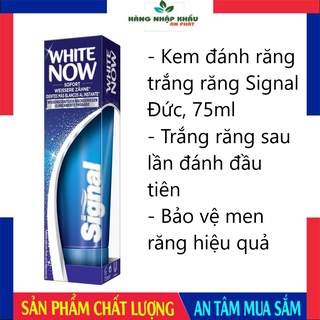 Kem đánh răng trắng răng Signal White Now Đức, 75ml