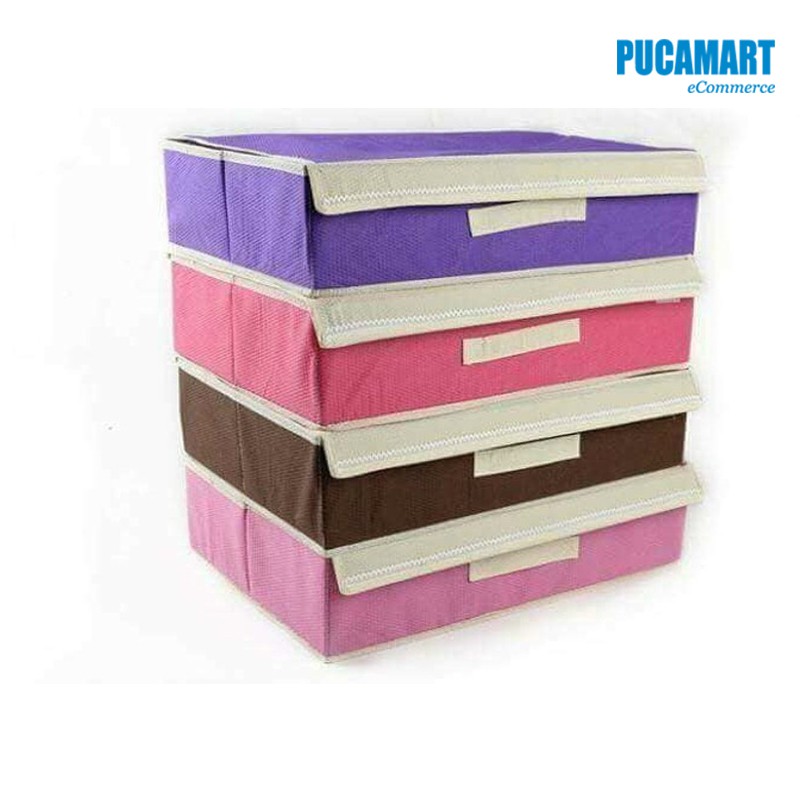 Hộp Đựng Đồ Lót 16 Ngăn Có Nắp Đậy, Khay Đựng Đồ Lót Nhiều Ngăn, Hộp Sắp Xếp Đồ Lót - PucaMart
