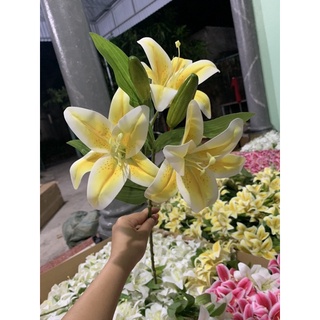 Hoa ly cao su xốp