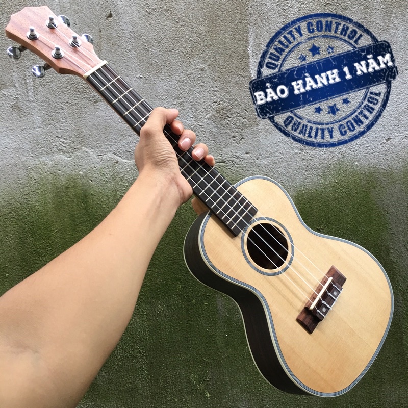 Đàn Ukulele gỗ Cẩm Lai Ấn cao cấp | Size concert 23'.