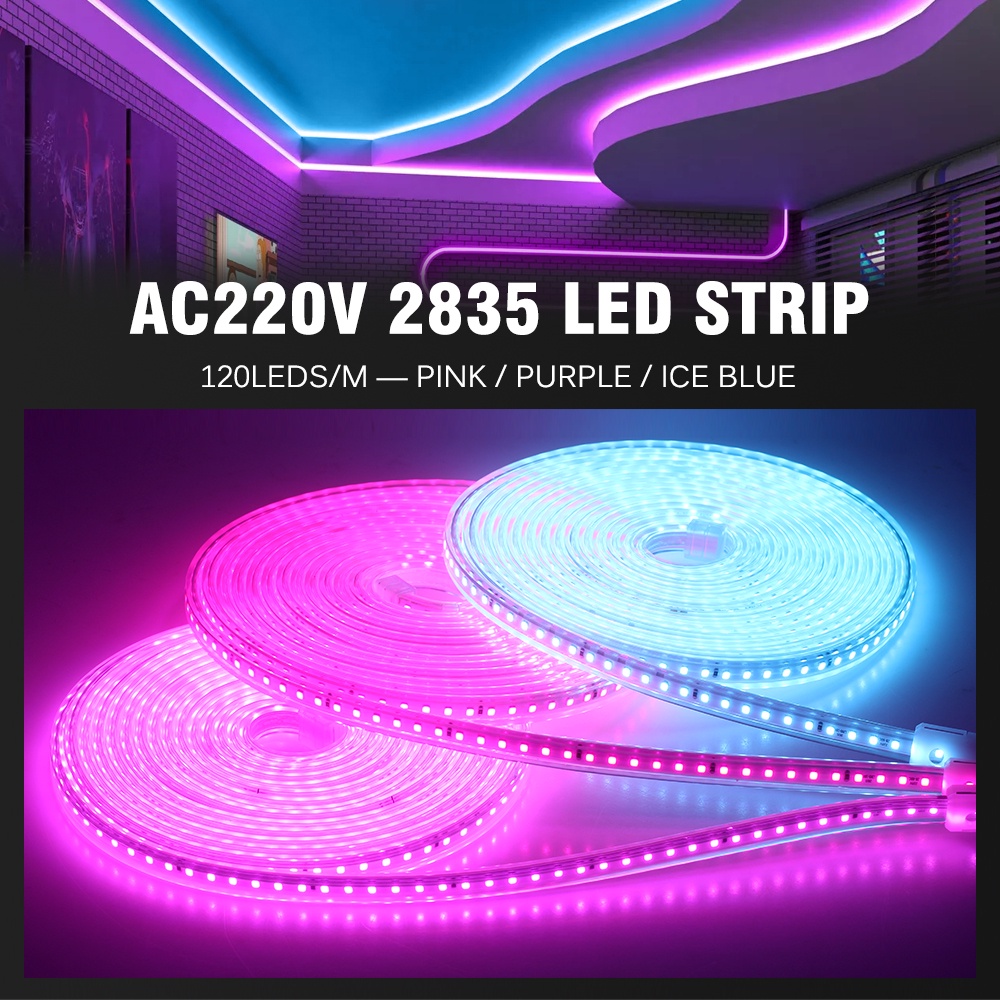 Dây Đèn LED 240v 2835 120LED/m IP67 Dài 5/10M/3m/ 2m/1m Màu Hồng/ Tím/ Xanh Dương Với Phích Cắm 1m