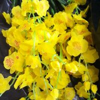 Hoa lan vũ nữ giả hoa lụa bó 10 cành
