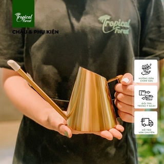 Bình tưới cây các loại tropical forest