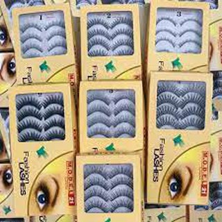 Mi Giả Model 10 cặp