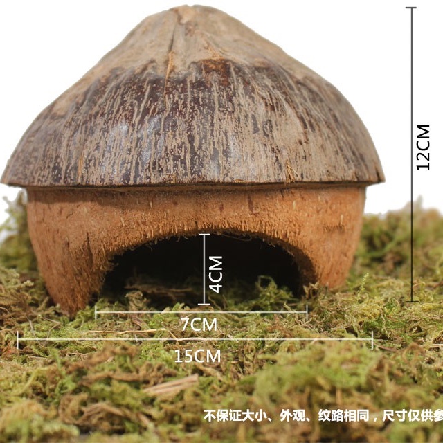 nhà hang dừa cho hamster / sóc / bò sát