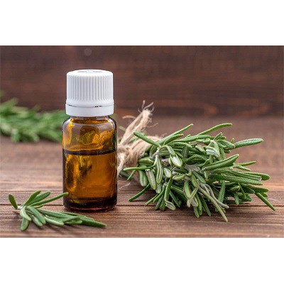 TINH DẦU HƯƠNG THẢO (ROSEMARY) | BigBuy360 - bigbuy360.vn