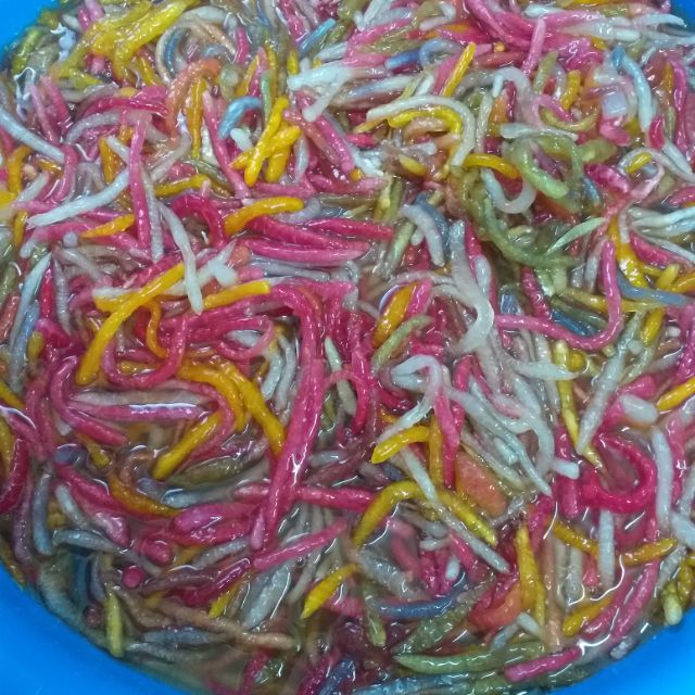 combo 3kg cùi bưởi sợi màu