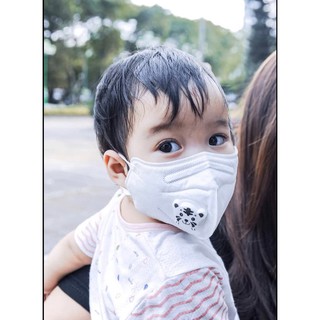 Khẩu trang chống bụi mịn PM2 5 Safelife VN