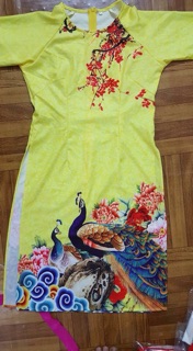 Áo váy mẹ con