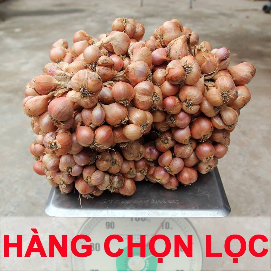 Hành khô kinh môn hải dương