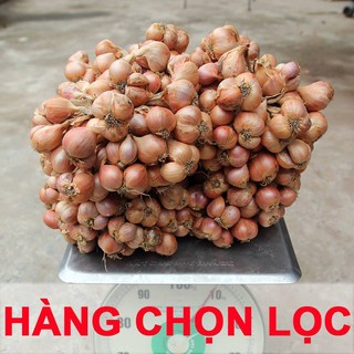 Hành khô kinh môn hải dương