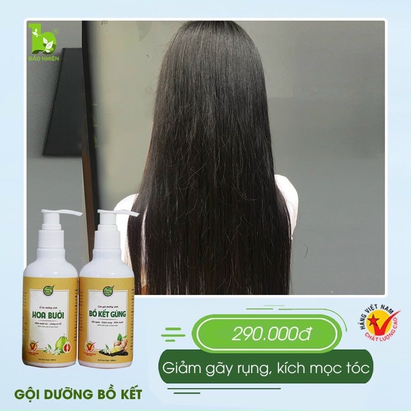 Dầu gội + dưỡng bồ kết gừng bảo nhiên