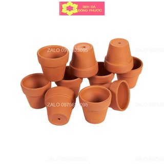 Chậu đất nung Ly G 7x7cm - trồng sen đá xương rồng, cây văn phòng- Sen Đá Đông Phước