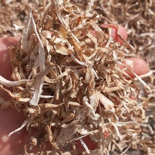 Trà mãng cầu gai xao thơm hộp 100g