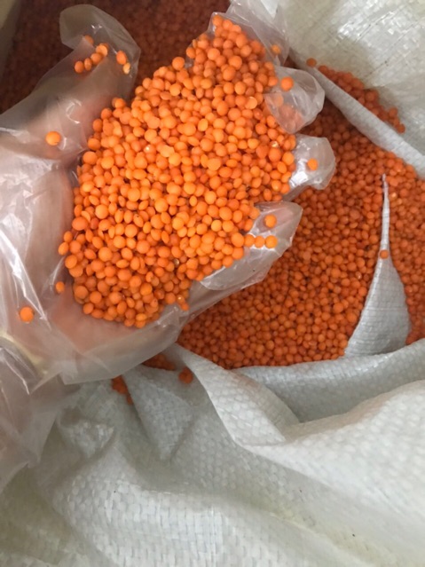 500g đậu lăng đỏ Canada